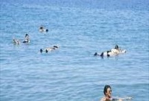 One Day Massada & Dead Sea